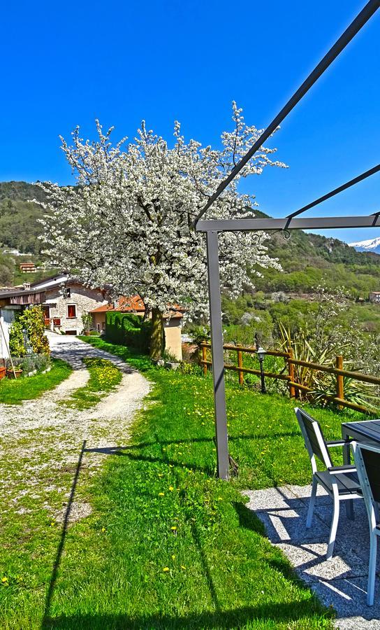Casa Belvedere Garden By Gardadomusmea Tremosine Exteriér fotografie