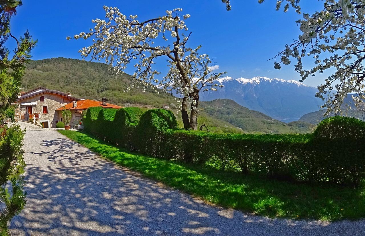 Casa Belvedere Garden By Gardadomusmea Tremosine Exteriér fotografie